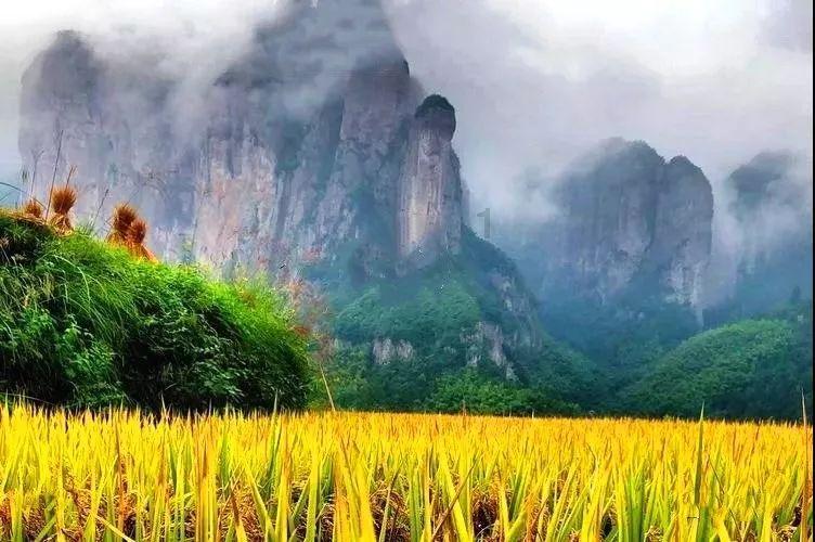 蝴蝶消消乐